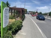温江全面推行农村公路路长制  137名“路管家”履职上任
