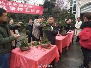 新春走基层——微盆景大市场  