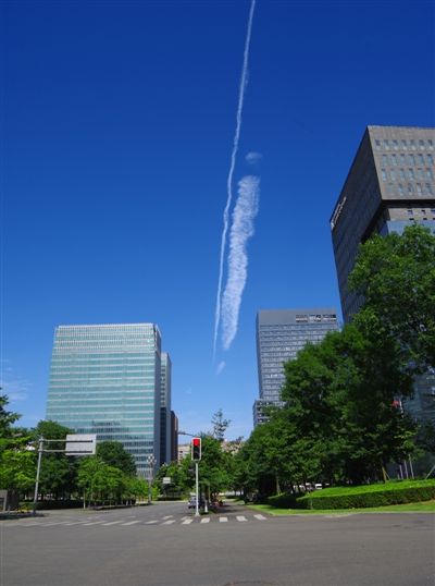 1587424487686.jpg