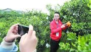 成都：“云端”培训抢农时 农业技术送到家