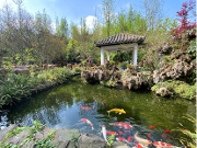 花开天府 美丽温江——连二里市美如画 川西林盘惹人醉