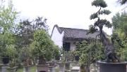 中花协代表参观考察我区国家重点花文化基地