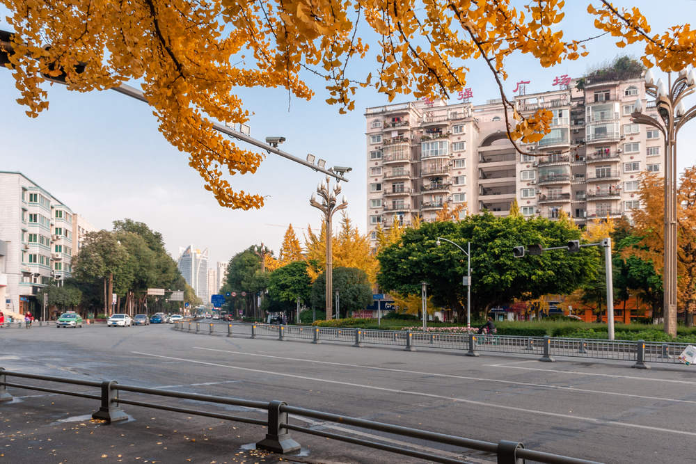 图据向实