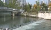 中国水周： 柳城街道5名新“民间河长”上岗
