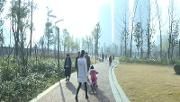 绣花功夫抓治理 温江再获“红旗奖”
