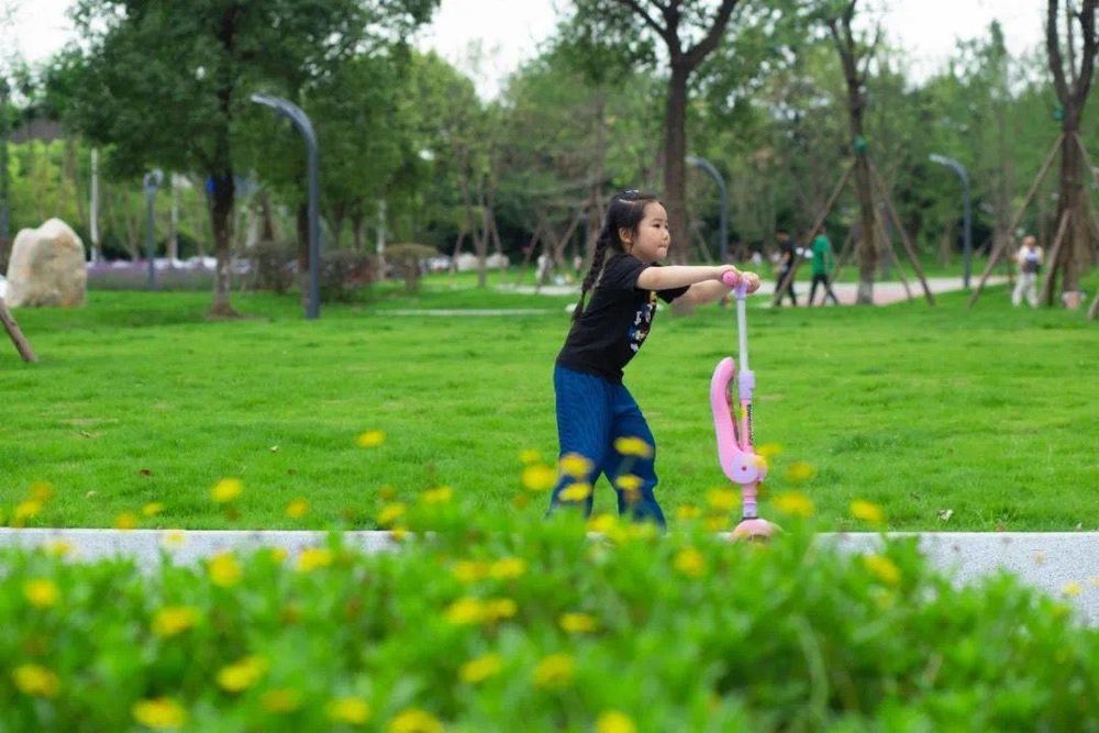 云想衣裳，花想...江安！