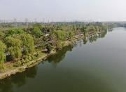 王道明赴和盛镇现场办公时强调:塑造全国“两养”新标杆 打造“全域旅游”新典范