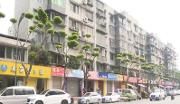 “一树一景”示范街区扮靓城市形象