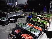 太极临时菜市场投用，引商家市民点赞