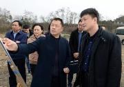 马烈红调研“畅通之城”建设工作