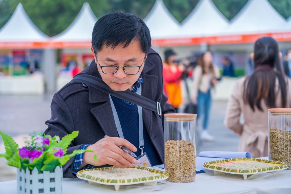 隔着屏幕都闻见米香味！