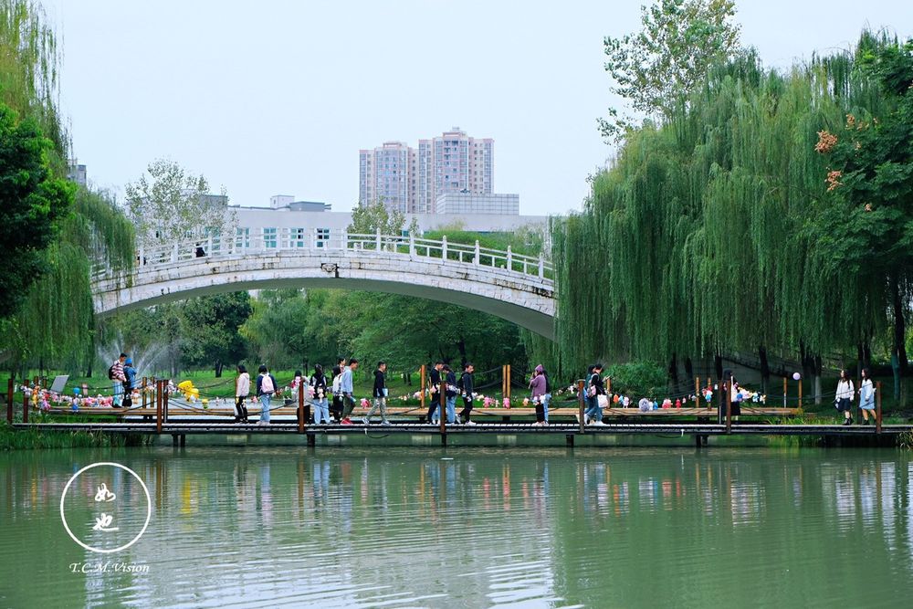 在成都中医药大学，一座玩偶桥成了同学们新的热门打卡地。图@成都中医药大学全媒体中心视频部