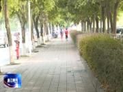 区人大常委会专题调研成钞公司周边环境整治工作情况
