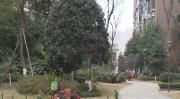 省委政法委副书记杨勇来温江调研“平安小区”建设情况