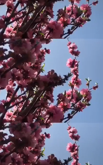 卡点学会了吗？