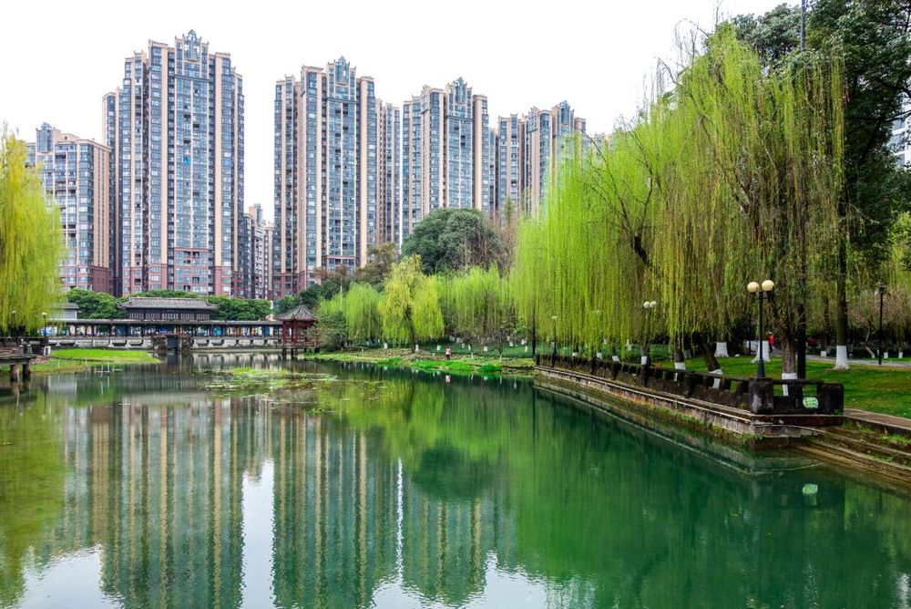 图据向实