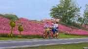 “五一”期间   温江乡村旅游赚足人气