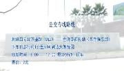 开通定制公交专线  方便市民扫墓