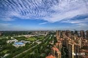 马烈红现场督导我区部分重大项目推进工作
