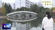 赏银杏  观轮船  交院秋景很别致