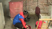 金马镇：困难群众有保障 服务兜底暖人心