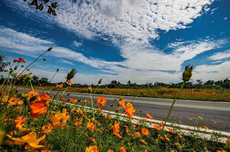 温江“俄木塘”打造完成！你绝对不能错过