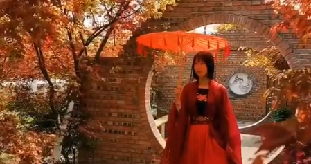 希望如约而至的不止春天 还有疫情过后平安的你~