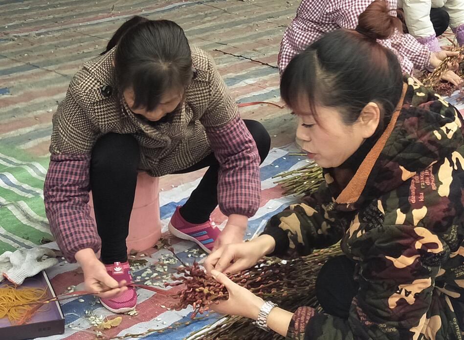 QQ截图20191216130021.jpg