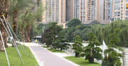 双过半  期中卷——区水务局：写好为民谋利“水文章”