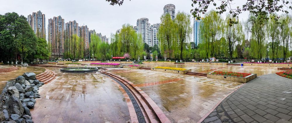 图据向实