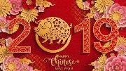 元旦佳节  市民其乐融融迎新年    