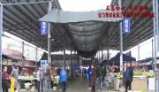 区领导到天府街道开展主题教育调研督导