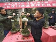 春光无限好 百花社区竞技忙