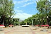 全面落实年·晒成绩——柳城街道：城市有变化 居民有感受 社会有认同