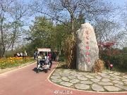 小长假好天气 温江接待游客36万人次