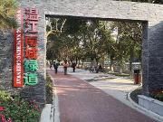 过年去哪儿耍  温江“绿道＋”解锁幸福生活新方式