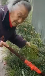 这样的老奶奶是不是很美？