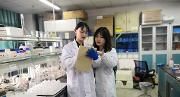 川农大学生培育新品种红豆杉  为抗癌新药提供原材料