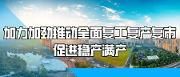 全区“送政策、帮企业，送服务、解难题”专项行动调度会议召开