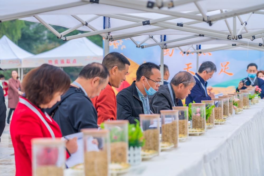 此次活动有104个水稻品种报名参赛，经过田间种植初赛，最终，40个国家标准二级品种进入决赛并现场设立展位，供市民品鉴选购。图@张志强