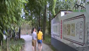 美丽温江 宜居乡村——金马镇：大力改善农村人居环境乡村更美更宜居