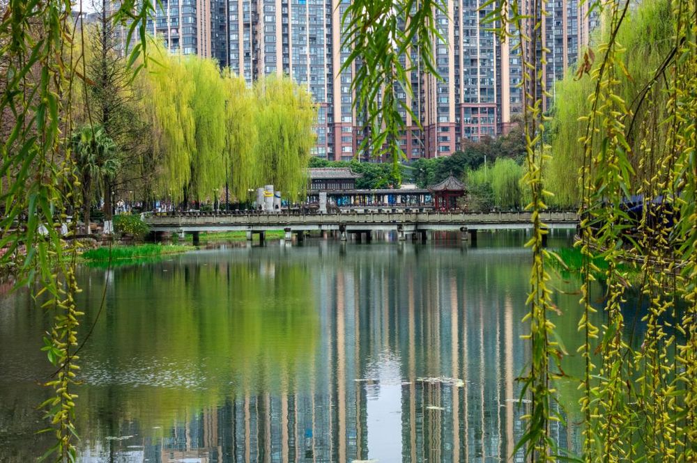 图据向实