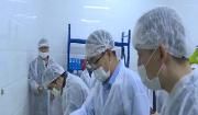 区领导检查学校及养老机构食品安全