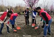 我区开展植树活动 共建美丽宜居公园城市