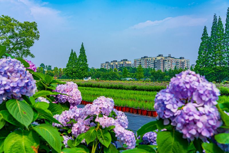 前景、中景、远景，这样的构图才算是真正的摄影作品。图据张志强