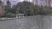 区人大常委会视察江安河光华段水生态环境综合整治项目