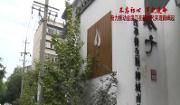 柳城街道南街社区：回应群众诉求绿化带换新颜