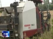 粉碎还田 温江区秸秆综合利用率预计达98.5%以上