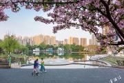 常态化疫情防控、抓实抓细经济社会发展、公园城市建设……区委常委会会议安排了这些重点工作