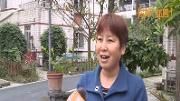 你好，邻居！——万春镇长石社区：互帮互助邻里亲